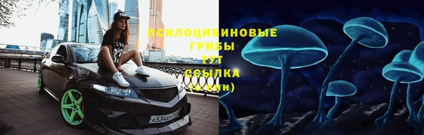 твердый Алапаевск