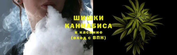 твердый Алапаевск