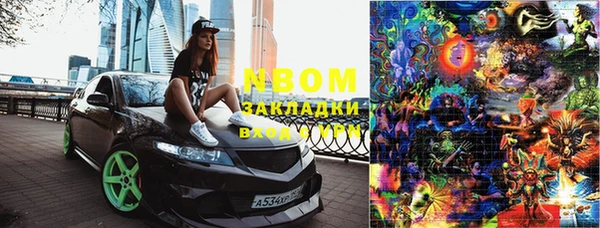 ПСИЛОЦИБИНОВЫЕ ГРИБЫ Алагир