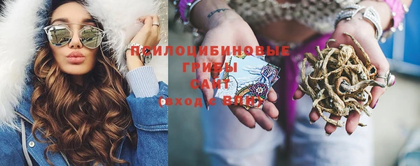 метамфетамин Бердск