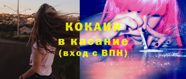 ПСИЛОЦИБИНОВЫЕ ГРИБЫ Алагир