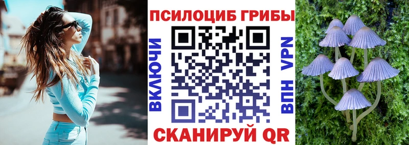 Галлюциногенные грибы Psilocybine cubensis  как найти закладки  ОМГ ОМГ как зайти  Игарка 